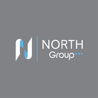 NORTH GROUP LINCS LTD