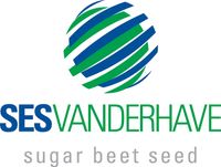 Company name - SESVANDERHAVE UK LTD