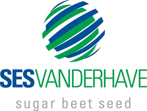 SESVANDERHAVE UK LTD