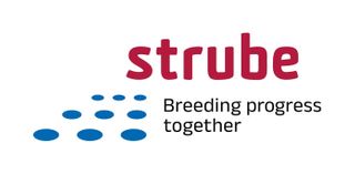 STRUBE UK LTD