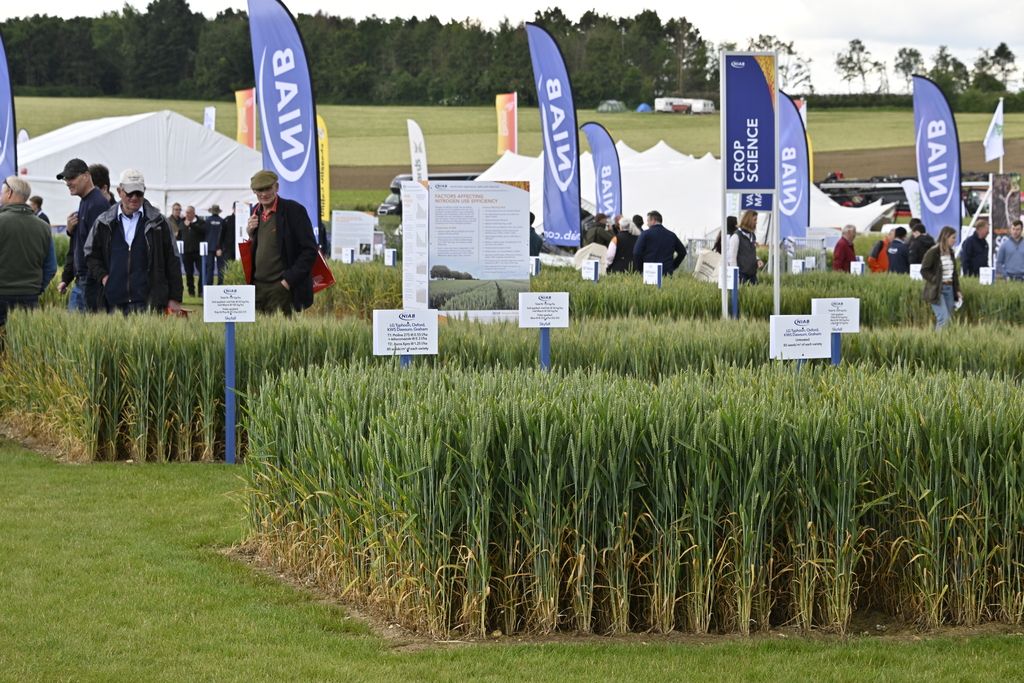 Smarter nutrition solutions for stronger crops at Cereals 2025
