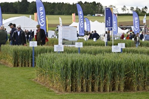 Smarter nutrition solutions for stronger crops at Cereals 2025
