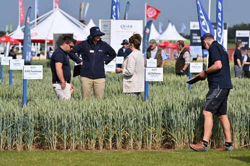 Crop varieties to meet evolving challenges