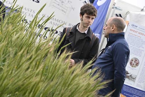 Cropping for climate change: Tackling agriculture’s greatest challenge