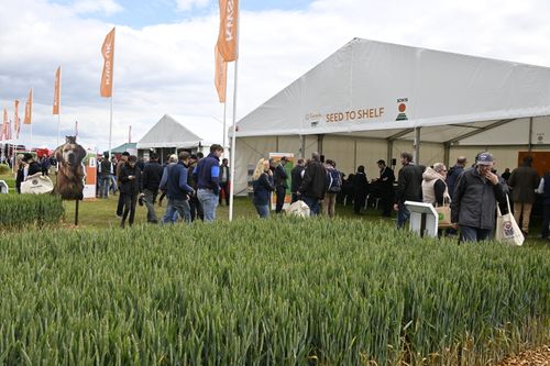 Shaping solutions on the Seed to Shelf stage at Cereals 2025