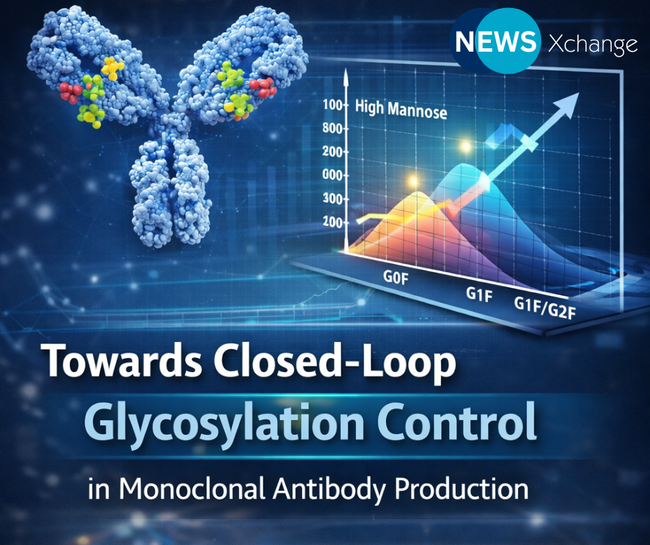 Towards Closed-Loop Control of Glycosylation in Monoclonal Antibody Production
