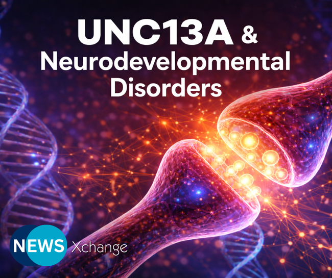 UNC13A and the Precision Control of Synaptic Transmission