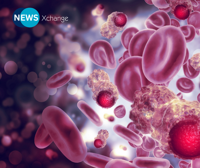Unmasking Tumor Immune Evasion: Latest Insights and Therapeutic Advances