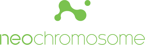 Neochromisome