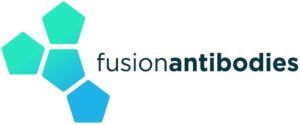 Fusion Antibodies