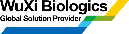 What are the considerations for successful lead identification & optimization in biotherapeutic antibody discovery?