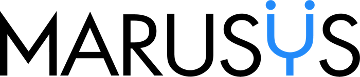 MARUSYS CO., LTD.