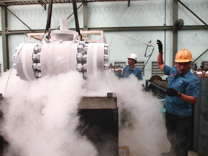 ExxonMobil Qualification Prototype