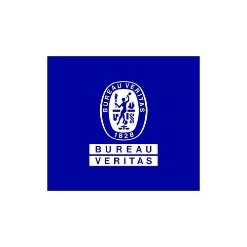 Bureau Veritas Marine & Offshore