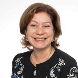 Ieda Gomes Yell - FGV Energia