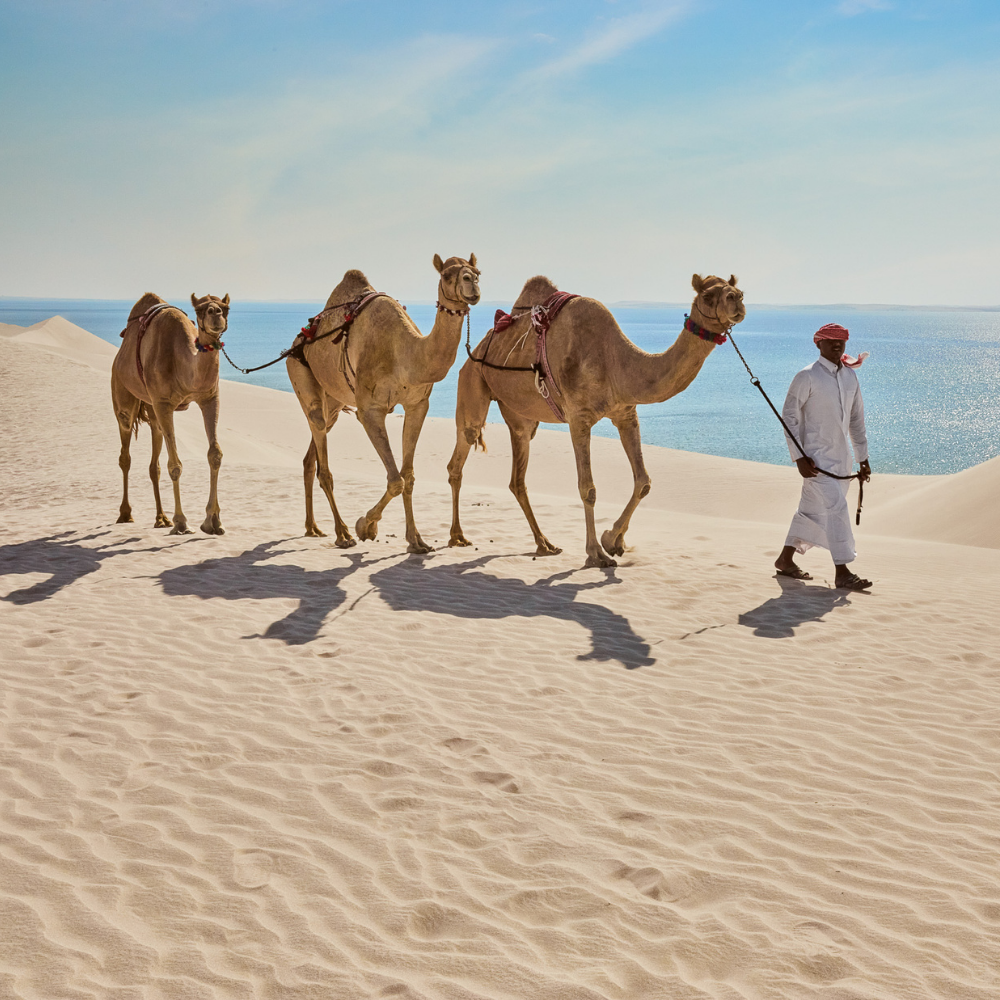 Discover the Desert and Inland Sea