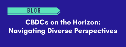 CBDCs on the Horizon: Navigating Diverse Perspectives