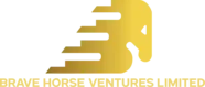 Company name - Brave Horse Ventures