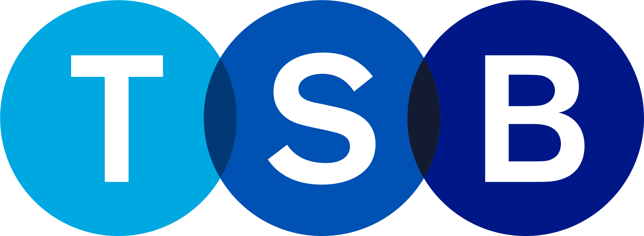 Company logo image for Craig Buchan