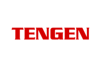 Company name - TENGENA
