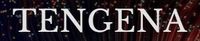 Company name - TENGENA LLC