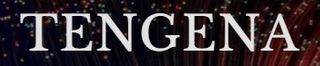 Exhibitor profile image for TENGENA LLC