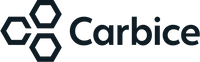 Company name - Carbice Corporation