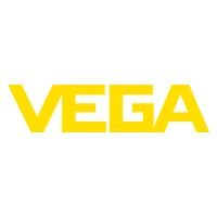 Company name - Vega Americas
