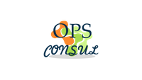 Company name - OpsConsul