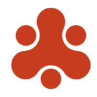 Company name - Chainpace.io