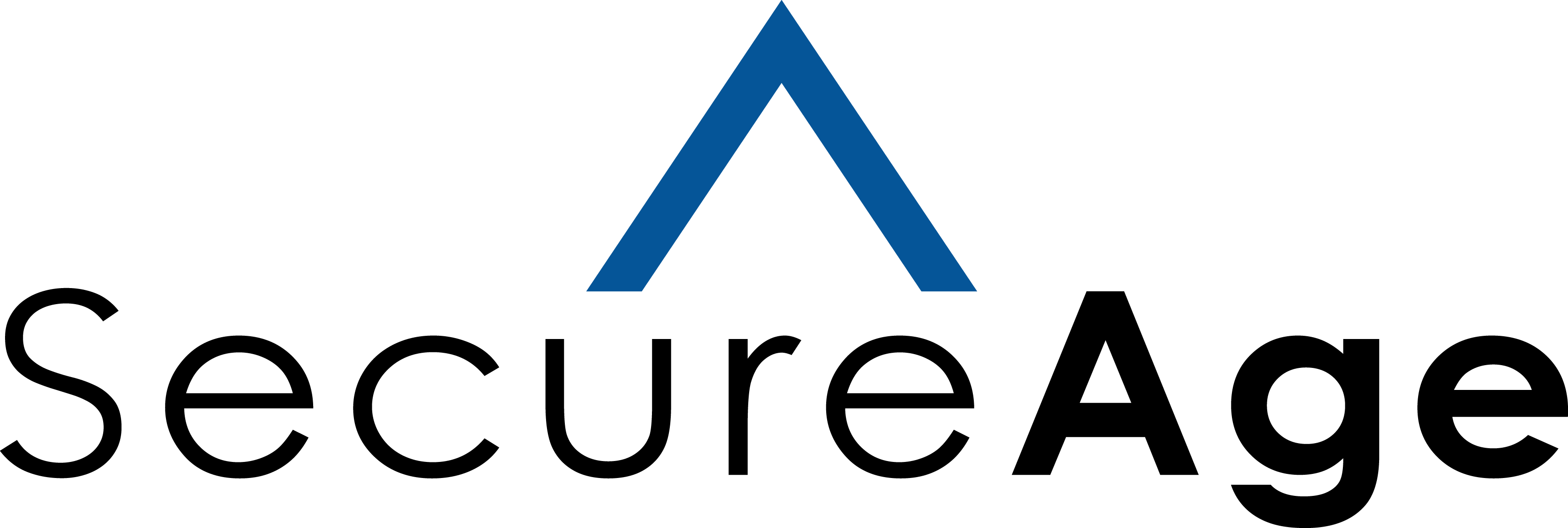 SecureAge Technology Pte Ltd