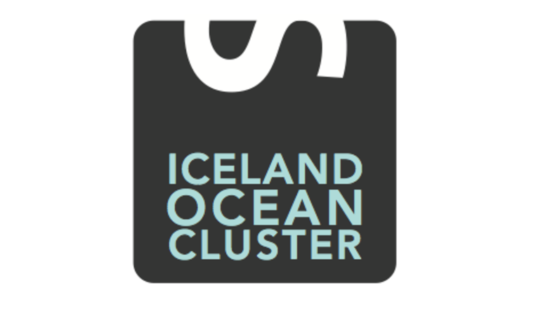 Iceland Ocean Cluster