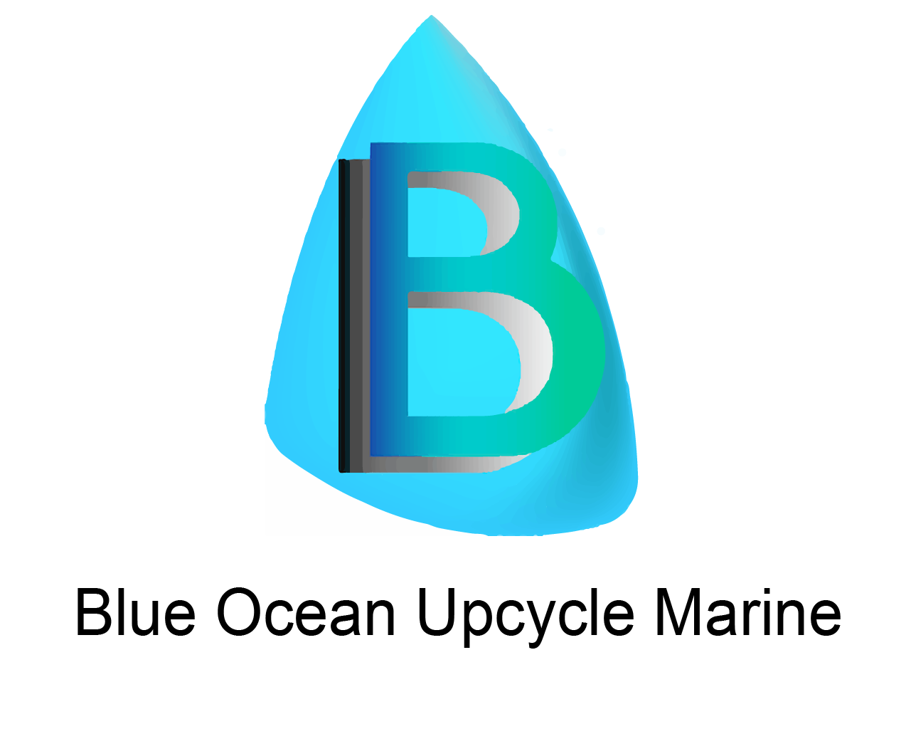 Blue Ocean Upcycle Marine Boat