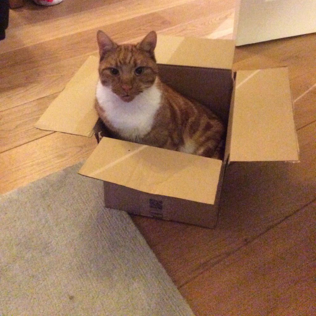 Head of Logistics