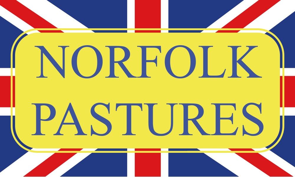 Norfolk Pastures