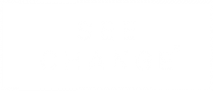 See Change Now