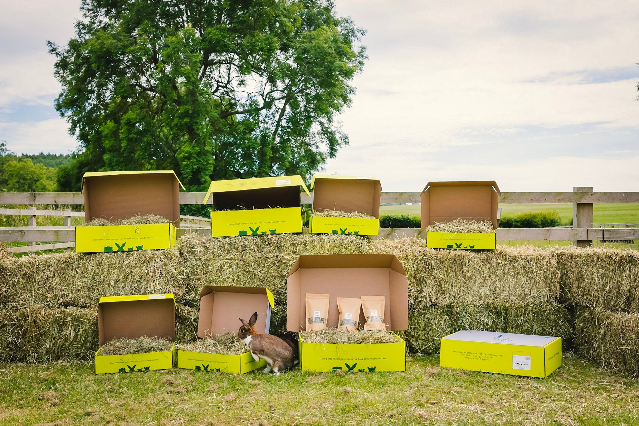 The Little Hay Company
