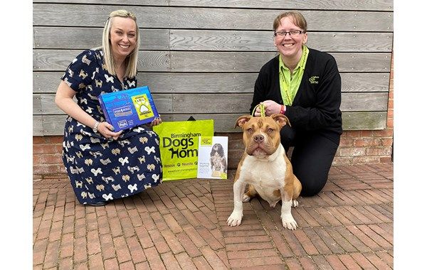 Fish4Pets Launches ‘Re-Start’ Programme with Birmingham Dogs Home