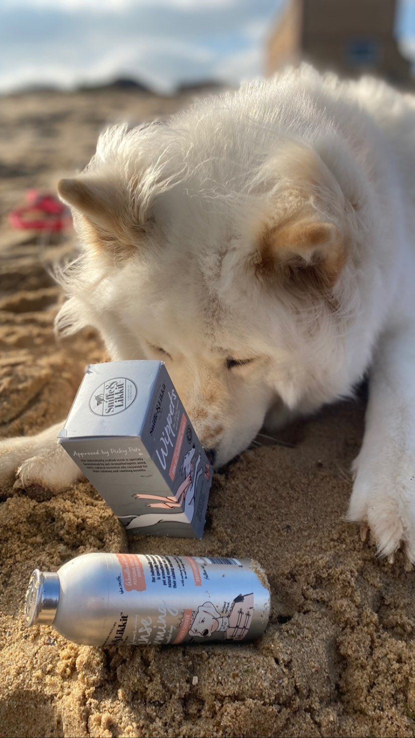 Give Your Pooch A Spruce Up This Summer - Because They’re ‘Woof’ It!