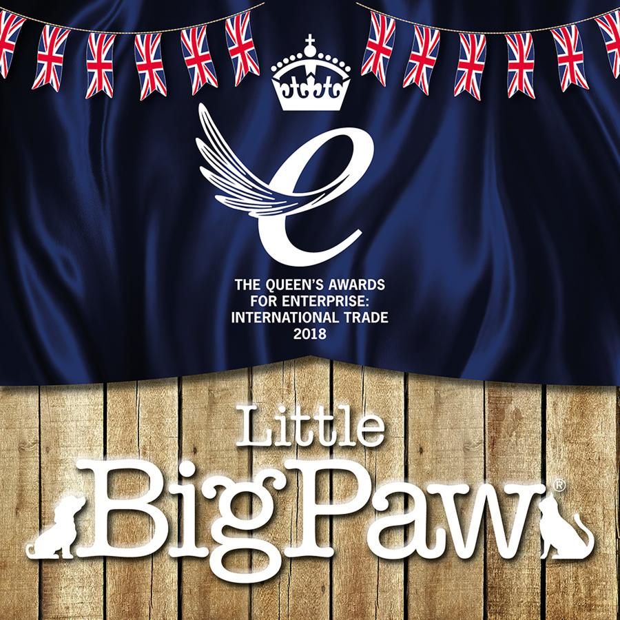 New Award Winning Cat Foods from Little BigPaw