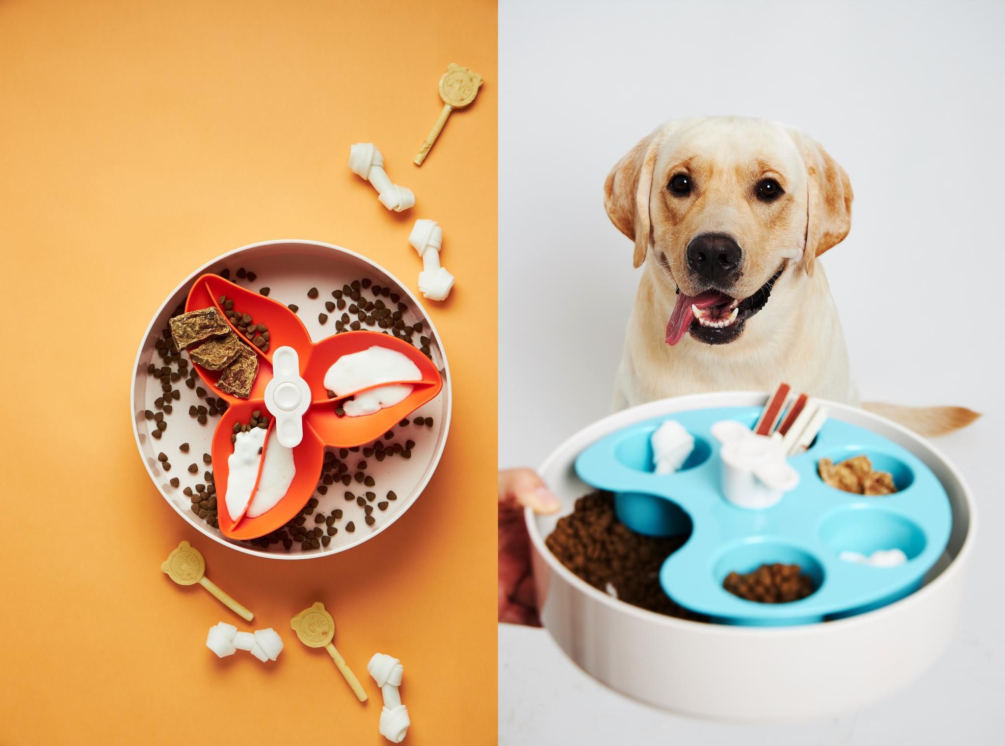 SPIN Dynamic Pet Bowl