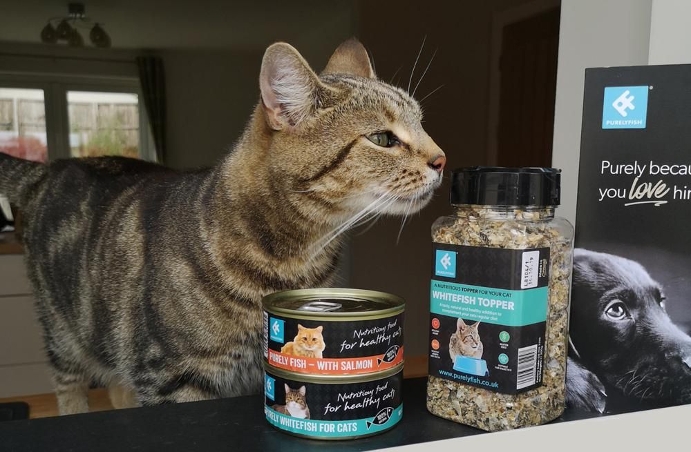 Purely Fish - Turning Human Food Wastage into Pet Food Goodness