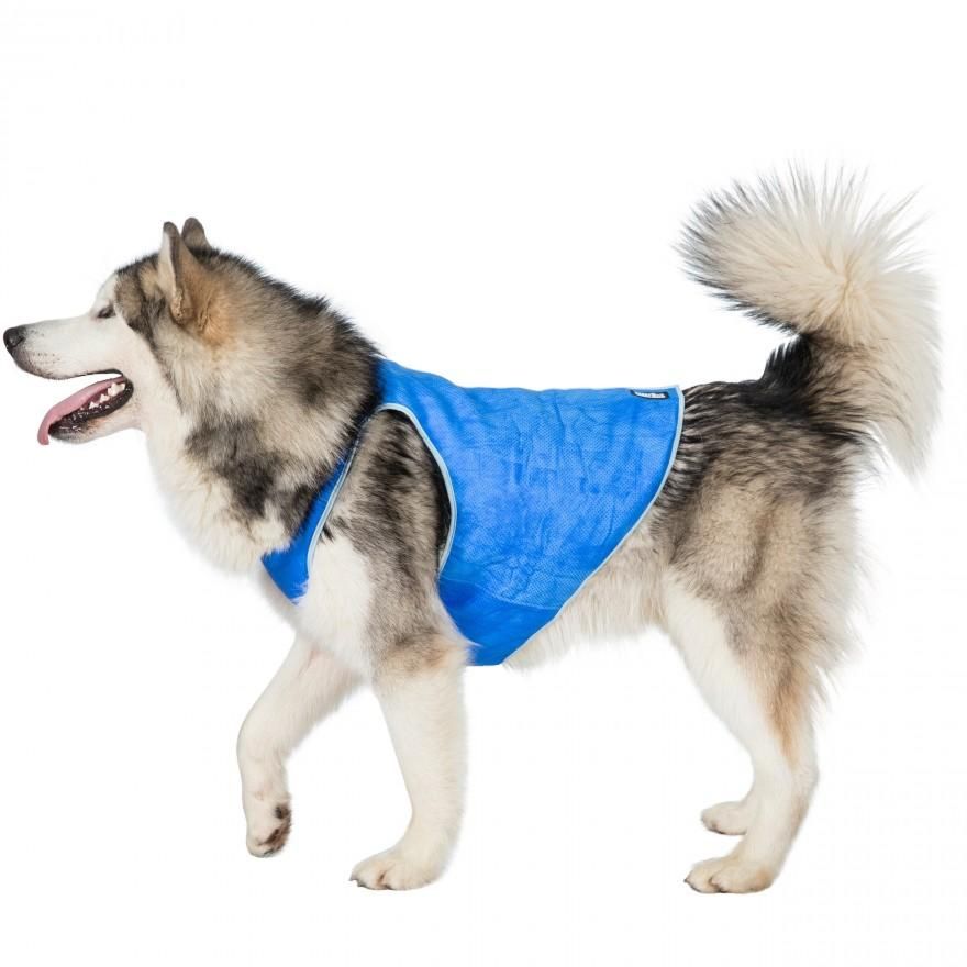 Introducing Trespaws Dog Cooling Vest