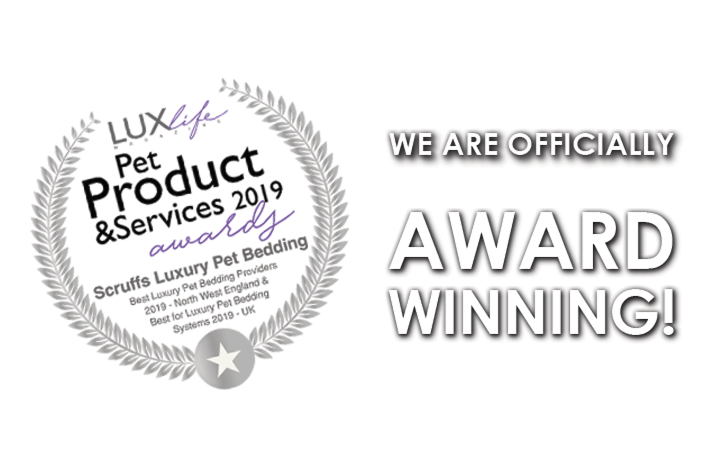 Scruffs® Strikes Gold in the 2019 LUX Awards