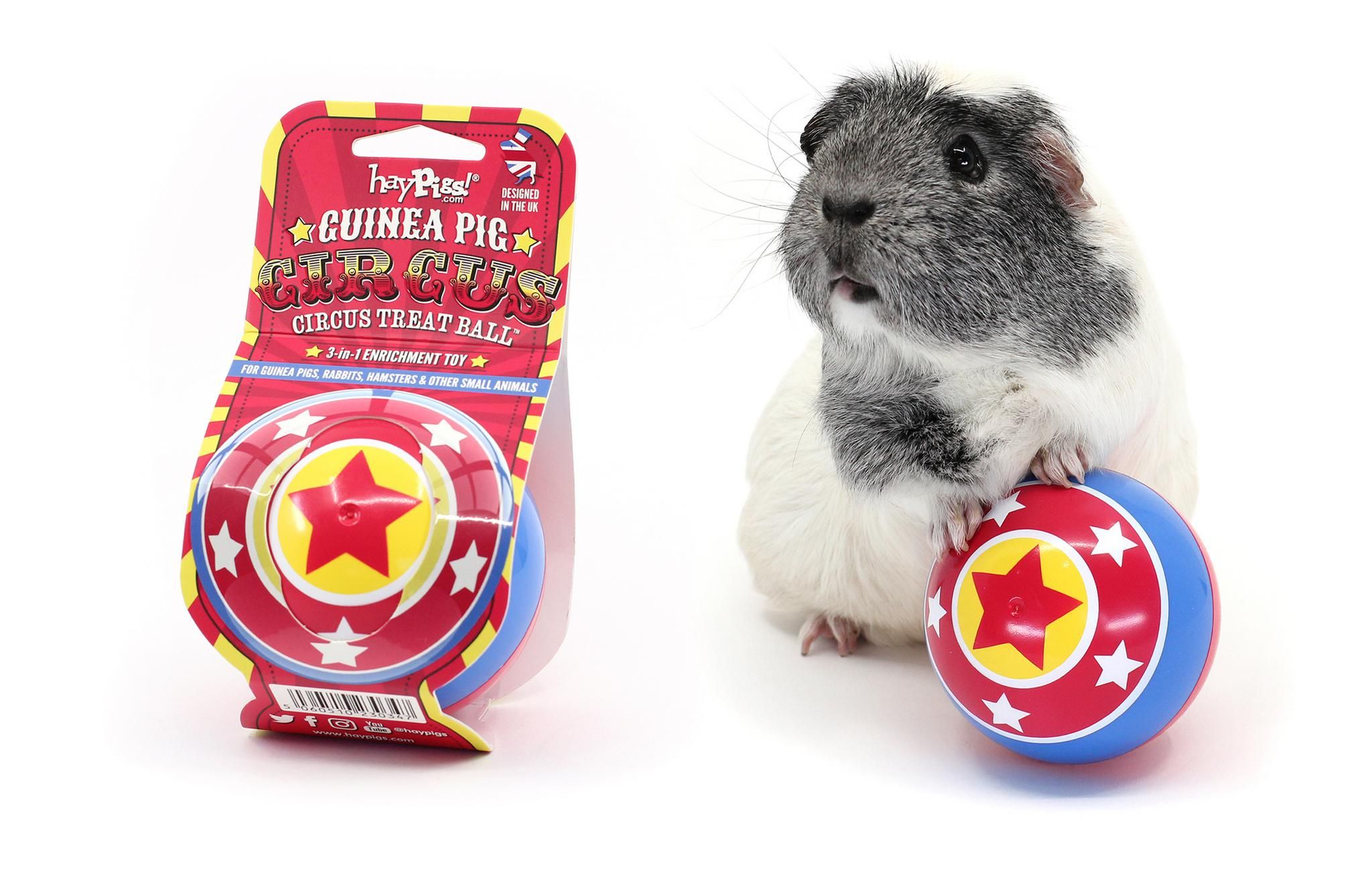HayPigs!® unveil Brand New 3-in-1 Enrichment Toy!