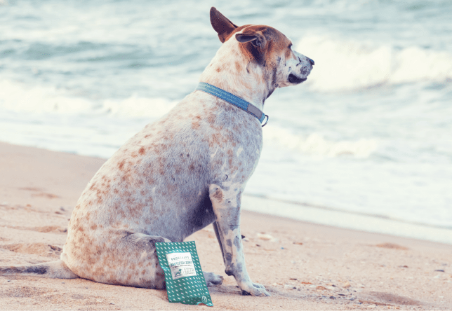 Goodchap’s – The Plastic-Free Dog Brand