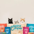 Edgard & Cooper Kibble for Cats