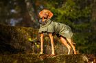 Rukka Pets Sky Raincoat