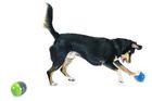 PetSafe® Ricochet Electronic Dog Toys