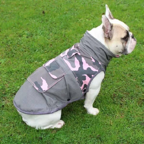 Dogissimo Camo Coat for Bulldogs & Frenchies